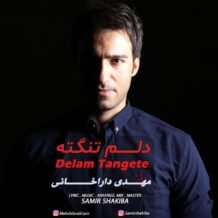 آهنگ جدید مهدی داراخانی به نام دلم تنگته